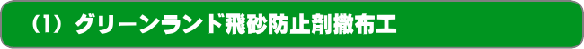 （1）グリーンランド飛砂防止剤撒布工